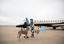 RetrievAir: Η πρώτη pet-friendly αεροπορική για μεγαλόσωμους σκύλους
