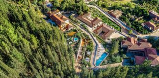 Euphoria Wellbeing Festival: Ζώντας τη μακροζωία στην Ελλάδα