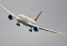 Σκύλος στον διάδρομο ανάγκασε αεροπλάνο να ακυρώσει την προσγείωση