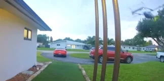 Συντριβή μικρού αεροσκάφους στη Φλόριντα – Γείτονες έσωσαν οικογένεια