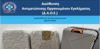 «Ελ. Βενιζέλος»: Επιχείρησε να περάσει 18,9 κιλά skunk