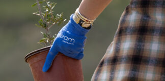 Με δενδροφύτευση στον Υμηττό γιόρτασε την αγάπη η Team AEGEAN