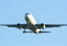 Ντουμπάι: Ακυρώθηκε πτήση επαναπατρισμού Ελλήνων με τα κατοικίδιά τους