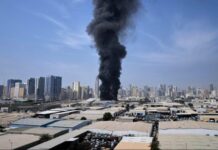 Έφτασε στο Βελιγράδι η πρώτη πτήση επαναπατρισμού από Ντουμπάι