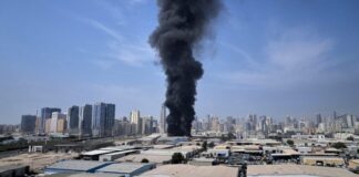 Έφτασε στο Βελιγράδι η πρώτη πτήση επαναπατρισμού από Ντουμπάι