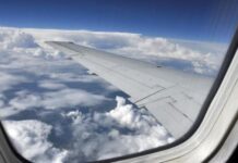 Ειδική πτήση από Ντουμπάι για Έλληνες με κατοικίδια – Περιορισμένες θέσεις