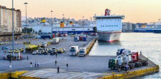 Πώς η Ferryscanner διευκόλυνε τα ταξίδια με κατοικίδιο το Πάσχα