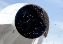 Gatwick: Σμήνος μελισσών παρέλυσε πύλη του αεροδρομίου για έξι ώρες