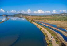 Messinia Challenge 2026: Όλα έτοιμα για το κορυφαίο event ευεξίας στην Ελλάδα