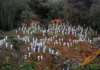 Αποκαλύψεις για το δυστύχημα της China Eastern Airlines με 132 νεκρούς