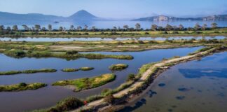 Messinia Challenge 2026: Οι πρώτοι βιώσιμοι αγώνες τρεξίματος στην Ελλάδα