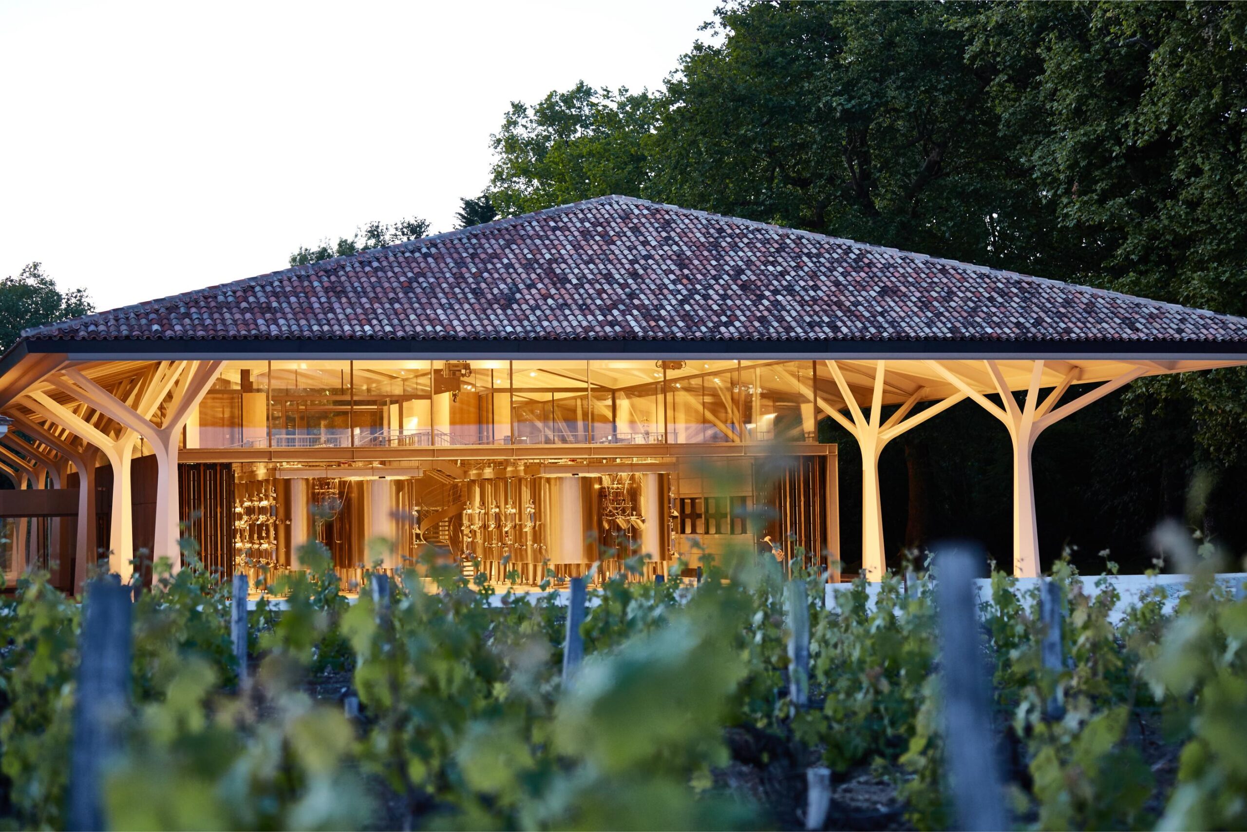 Chateau Margaux - Chai Foster ©Saison d_Or