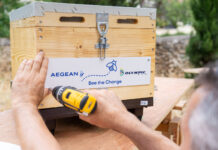 Η team AEGEAN ανέλαβε δράση για τις μέλισσες με αφορμή την Παγκόσμια Ημέρα Περιβάλλοντος