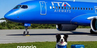 Η ITA Airways λανσάρει την υπηρεσία «Large Dog On Board» για μεγάλους σκύλους που ταξιδεύουν στην καμπίνα