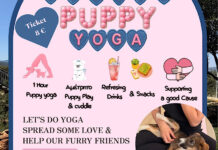 Το πρώτο Puppy Yoga έρχεται στην Χαλκιδική