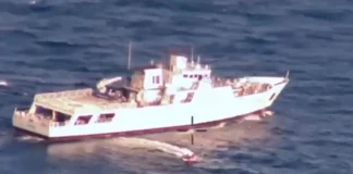 Ρεκόρ κατάσχεσης: Πάνω από 5 τόνοι κοκαΐνης σε πλοίο – Η μέθοδος των «πιθήκων»
