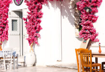 Ελλάδα: Τρεις υποψηφιότητες στα Olive Travel & Taste Awards 2026