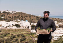 Stamna Sifnos: Ασύρτικα από κάθε γωνιά των Κυκλάδων συναντώνται στο Pilōs