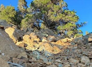 Mountain Games 2026: Το συναρπαστικό μυστικό της Κύπρου κρύβεται στα βάθη του ωκεανού